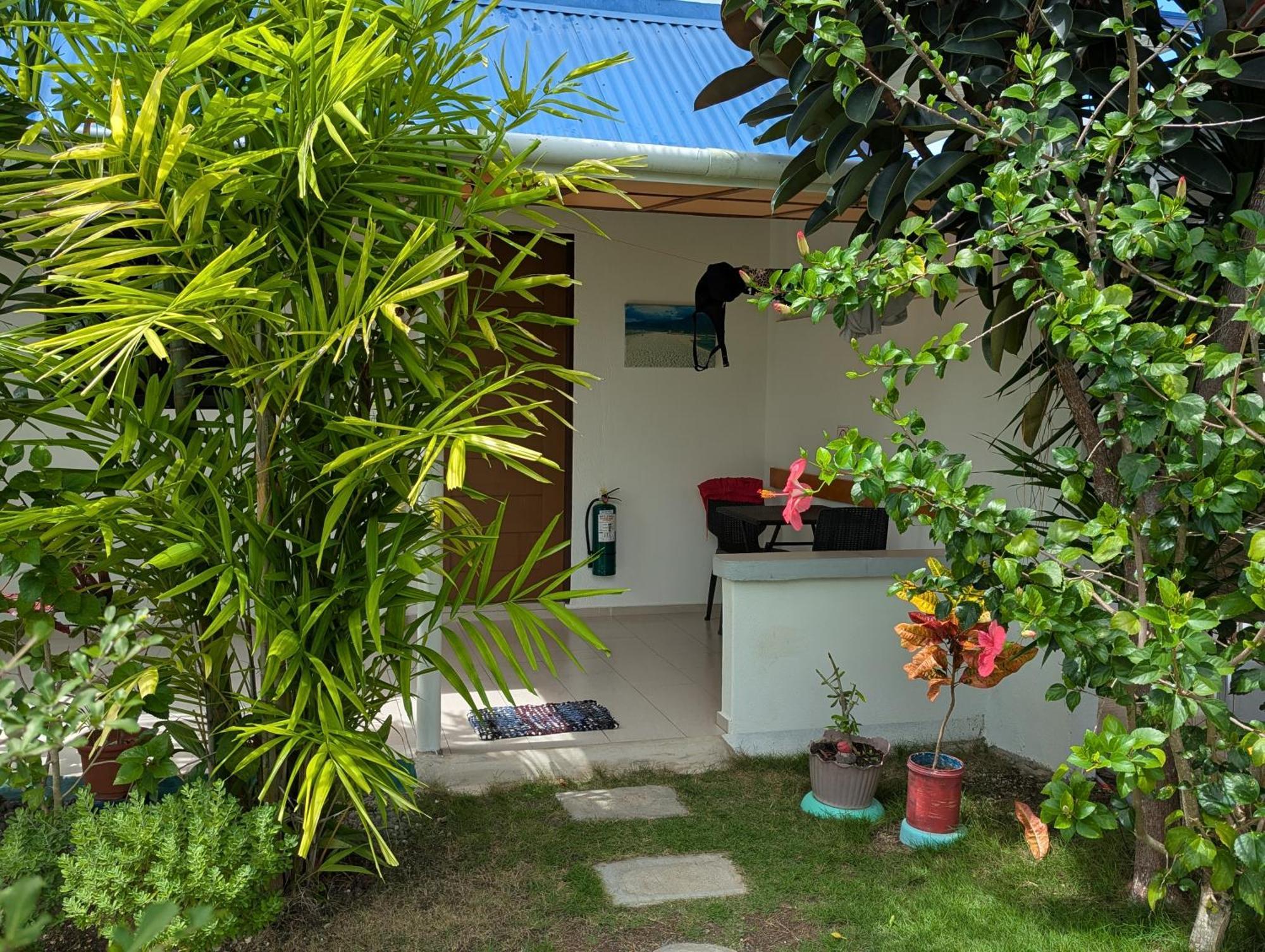 Astillo'S Guest Houses Moalboal Room photo